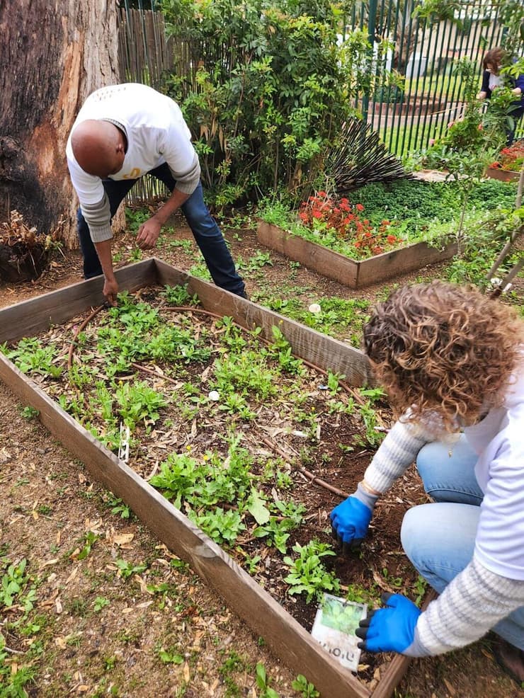 רוח טובה התנדבות השבוע