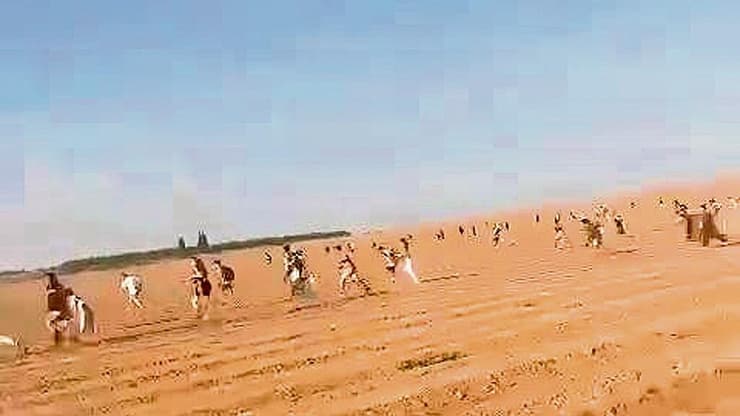 הבריחה מהנובה