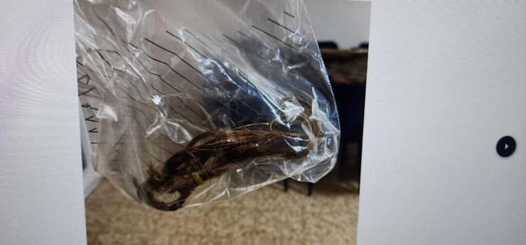 שיער שנגזר מהקורבנות (צילום: דוברות המשטרה) תושב בני ברק התעלל מינית בנשים מוחלשות