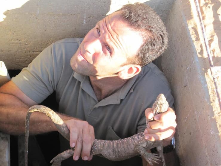 אוהד יהלומי וחבר