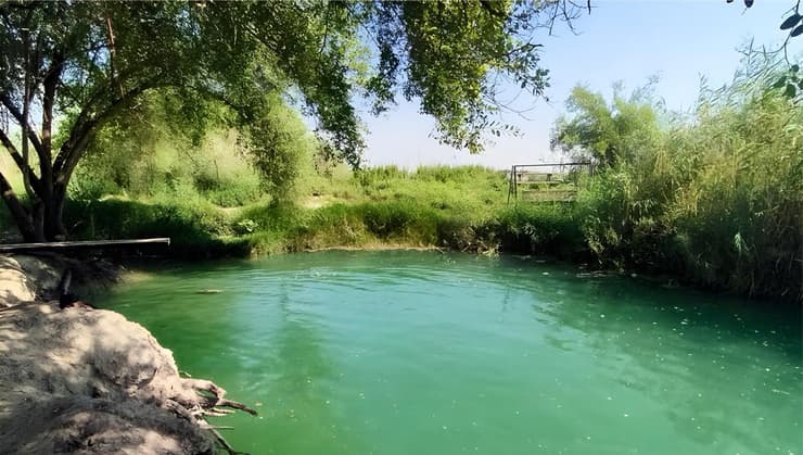 עין ירמוך. עצים וצמחיית קנים (צילום: ערן גל-אור) עין ירמוך. עצים וצמחיית קנים