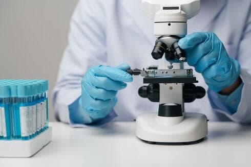 צילום: shutterstock צילום: shutterstock