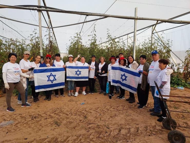 מתנדבי "באים לטוב" מסייעים לחקלאי העוטף בקטיף עגבניות