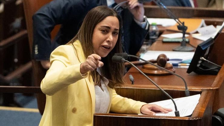 מליאת הכנסת