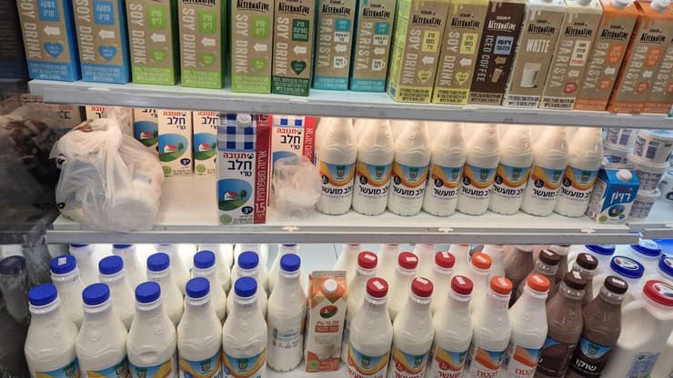 תחליפי חלב אלטרנטיב 