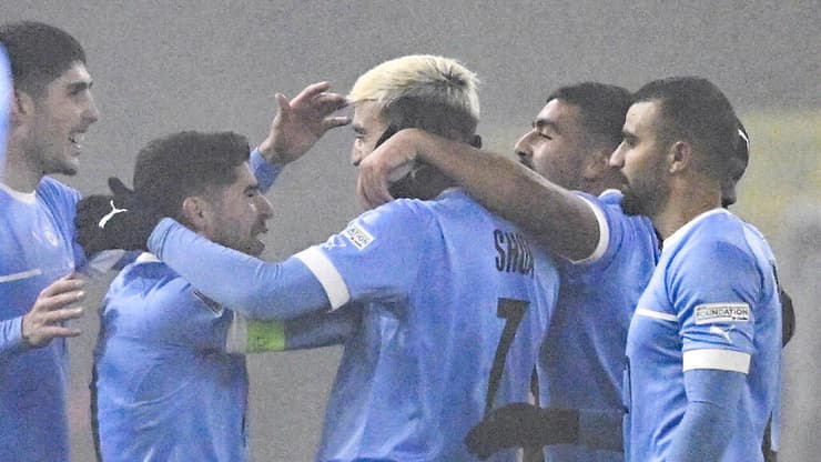 הבטיחו הישארות בדרגת האיכות השלישית. שחקני נבחרת ישראל (צילום: AP Photo/Denes Erdos) ישראל בלגיה