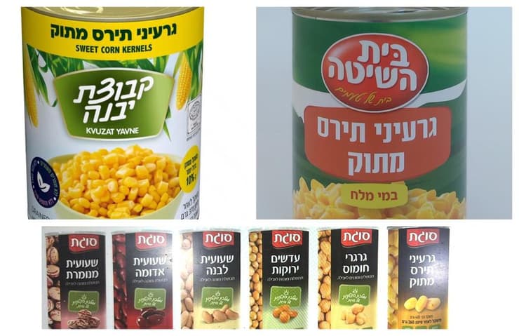 תירס של בית השיטה ושקל קבוצת יבנה, והמוצרים החדשים של סוגת