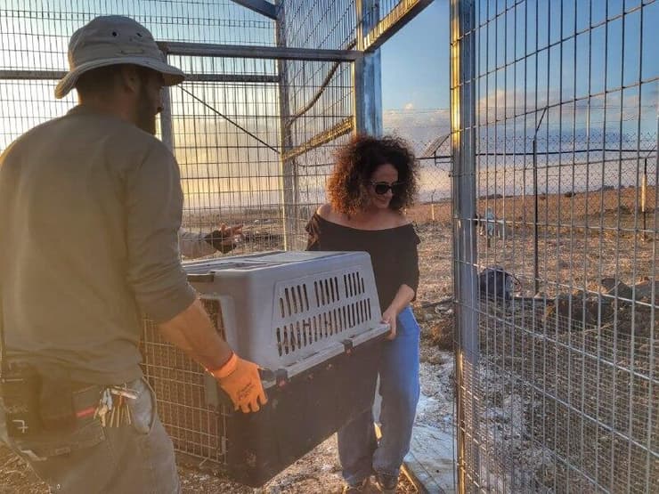 חילופים בשעות בוקר מוקדמת