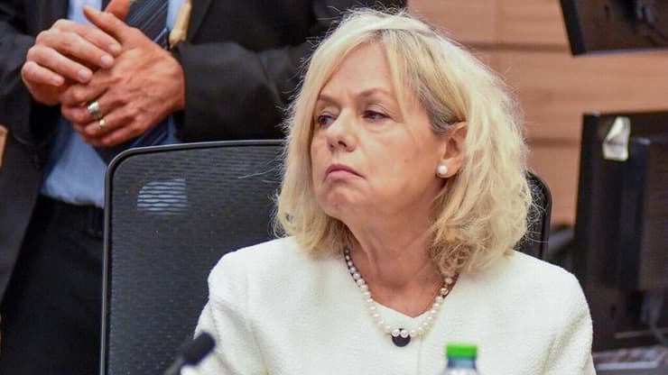 בהרב מיארה (צילום: רפי קוץ) גלי בהרב מיארה בוועדת החוקה של הכנסת