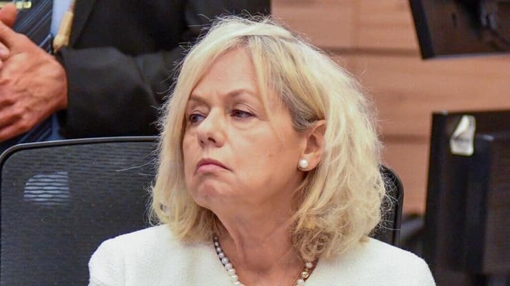 גלי בהרב מיארה בוועדת החוקה של הכנסת