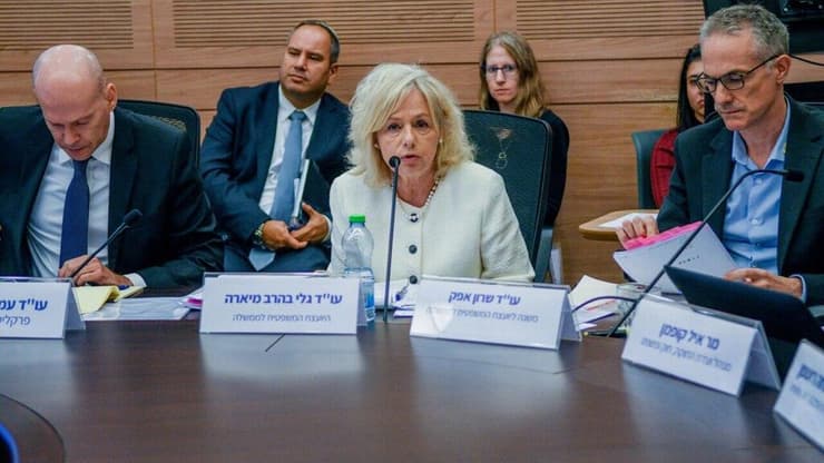 גלי בהרב מיארה בוועדת החוקה של הכנסת