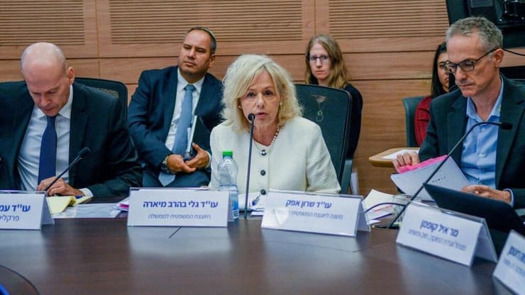 גלי בהרב מיארה בוועדת החוקה של הכנסת