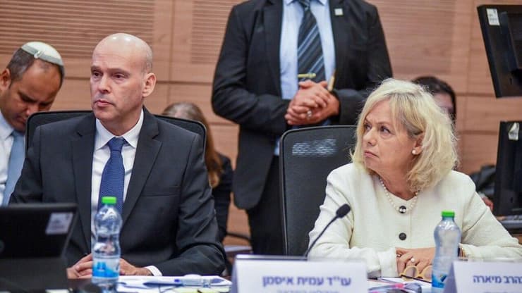 גלי בהרב מיארה בוועדת החוקה של הכנסת