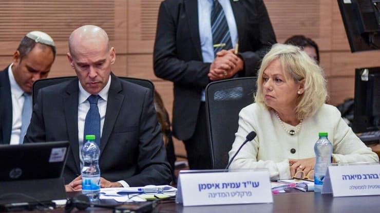 גלי בהרב מיארה בוועדת החוקה של הכנסת