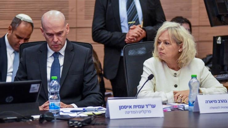 גלי בהרב מיארה בוועדת החוקה של הכנסת