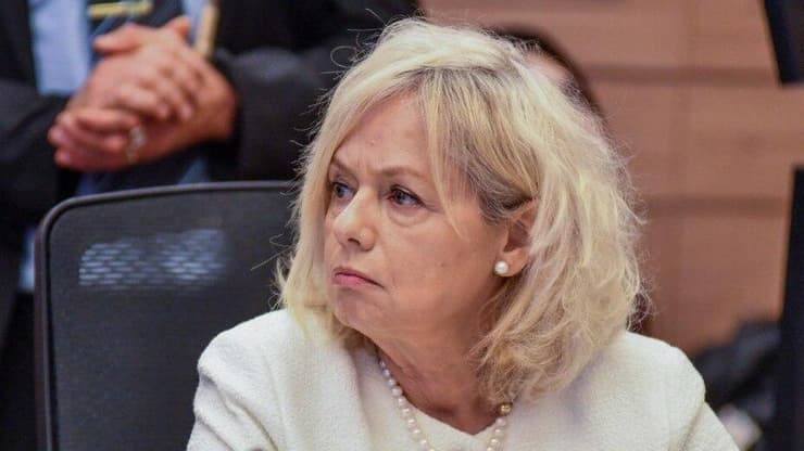 גלי בהרב מיארה בוועדת החוקה של הכנסת