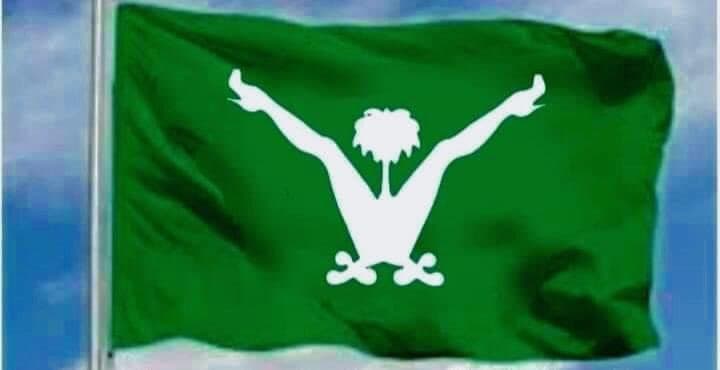 מתוך המחאה ברשת: איור פרובוקטיבי נשתל על דגל סעודיה מחאה ברשת