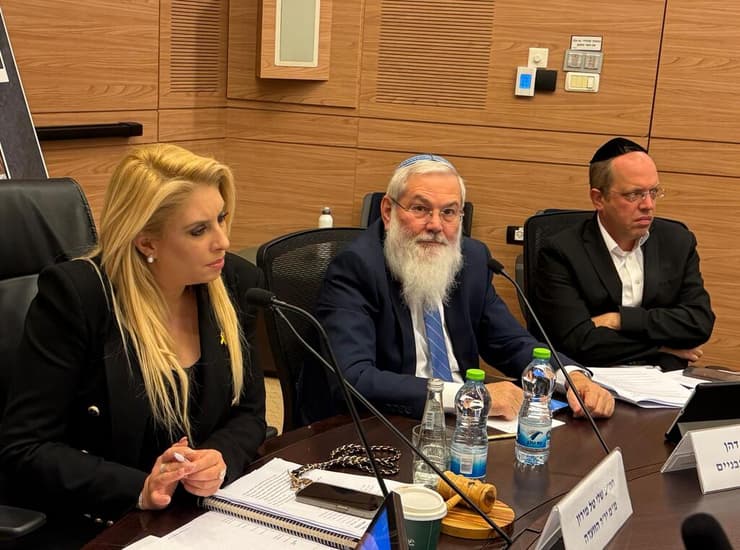 הרב אלי בן דהן, מנכ"ל בתי הדין הרבניים (במרכז), לצד חברת הכנסת שלי טל מירון בדיון