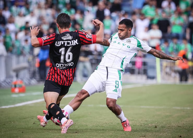 בחיפה מחכים לו. נהואל (צילום: עוז מועלם) נהואל בפעולה