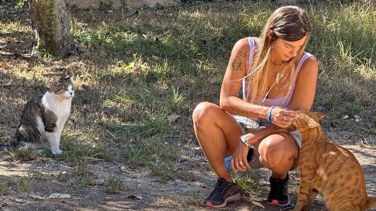 לאו עם חתולים שננטשו בעוטף. "אין רגע מרגש מזה"   