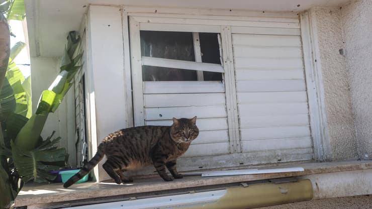 נהריה - אחרי ההסדרה עם לבנון