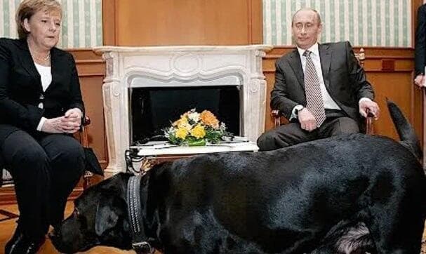 נשיא רוסיה ולדימיר פוטין קנצלרית גרמניה לשעבר אנגלה מרקל כלב 2007