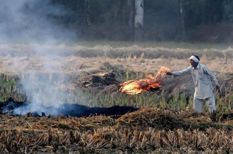 חקלאי הודי שורף את השדות החקלאיים שנקצרו אך לא נחרשו לפני זריעה של האורז, על מנת לפנות את השטח בהוצאה כלכלית מינימלית