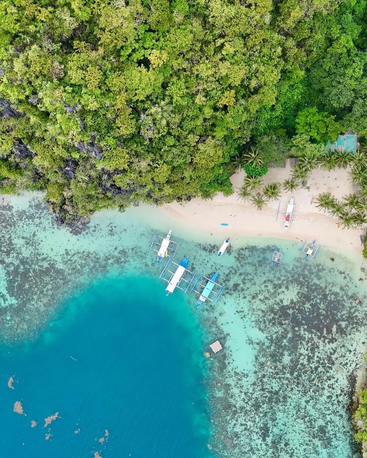 חוף אל נידו