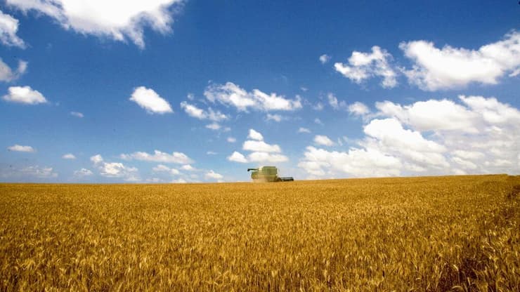 קציר בשדות החיטה של קיבוץ בארי