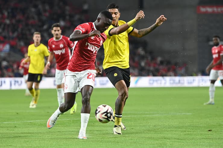 קינגס קאנגווה