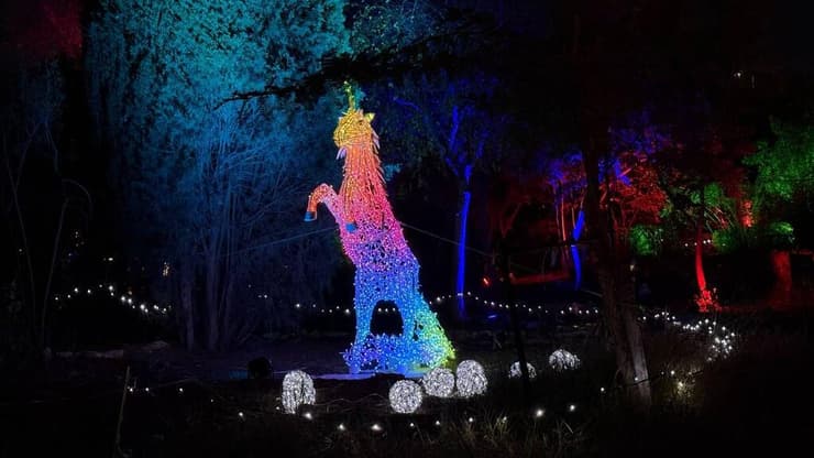 צילום: ספיר גורדו תערוכת פסלי האורות בירושלים