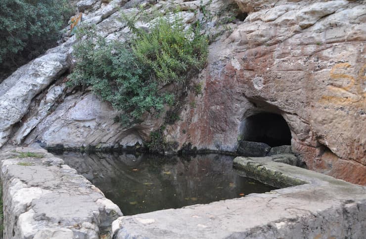 עין משוטטים (צילום: דוד וערן גל-אור) עין משוטטים