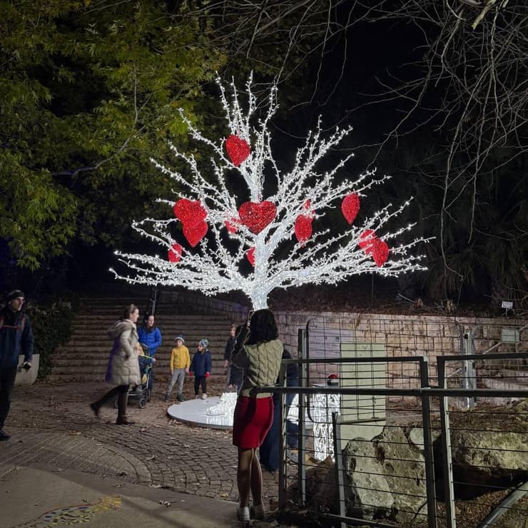צילום: ספיר גורדו תערוכת פסלי האורות בירושלים