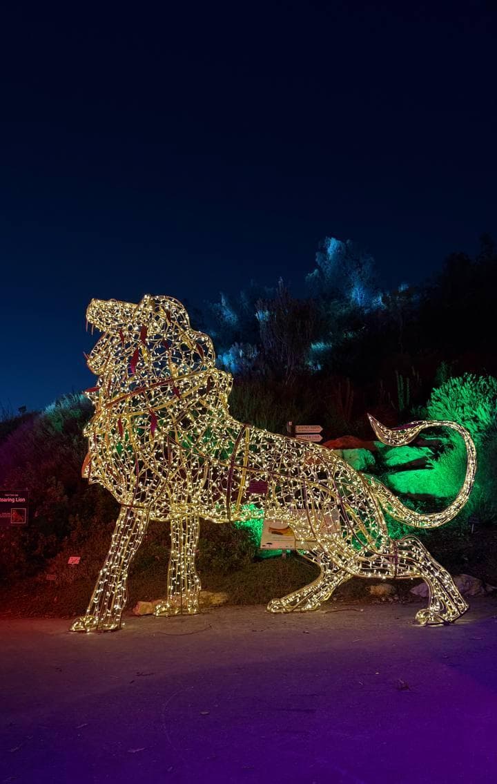 צילום: ספיר גורדו תערוכת פסלי האורות בירושלים