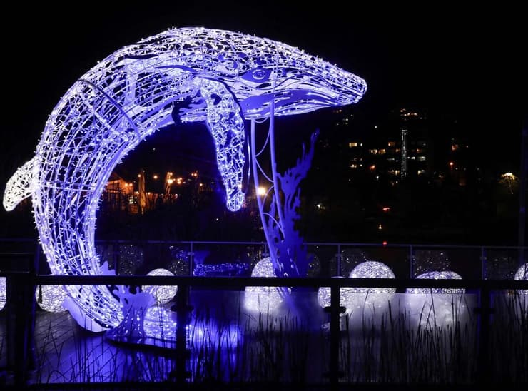 צילום: Mk illumination תערוכת פסלי האורות בירושלים