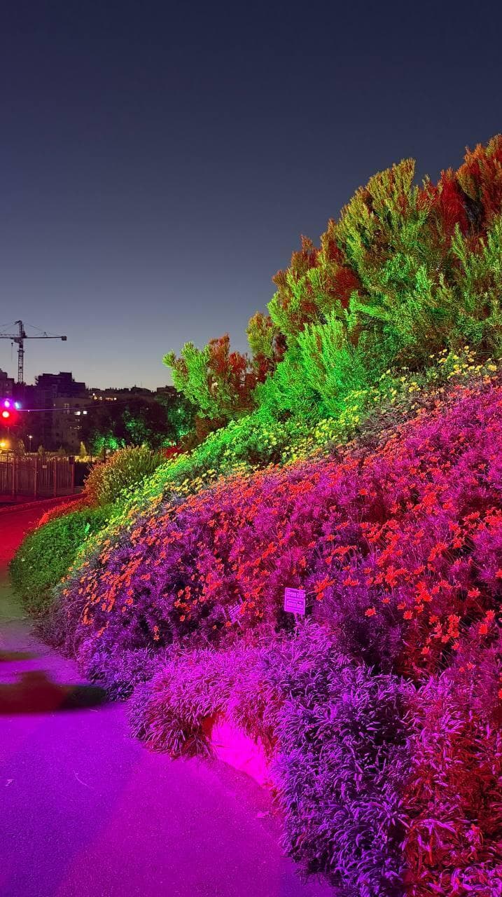 צילום: ספיר גורדו תערוכת פסלי האורות בירושלים