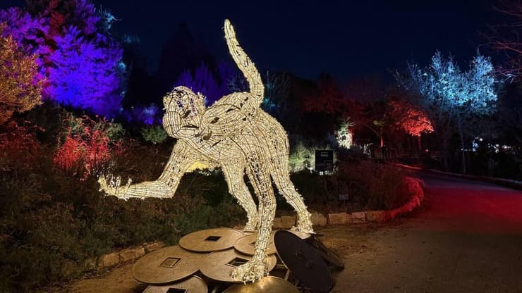 צילום: ספיר גורדו תערוכת פסלי האורות בירושלים