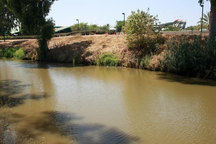 נחל הירקון (צילום: שאול גולן) נחל הירקון