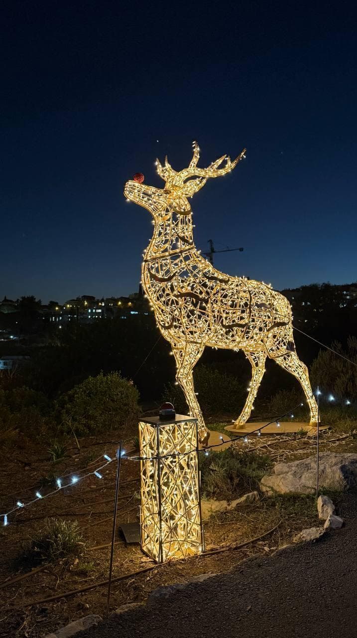 צילום: ספיר גורדו תערוכת פסלי האורות בירושלים
