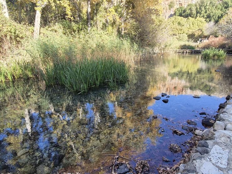 מעיינות הבניאס
