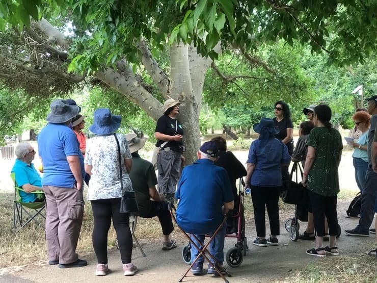 דיסנילנד של הטבע (צילום: חני קהלני, קק"ל) פארק אילנות