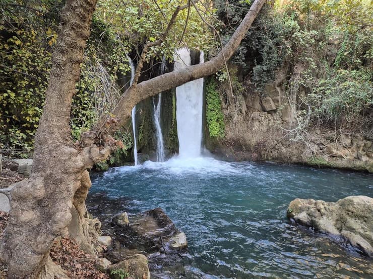מפל בשמורת הבניאס