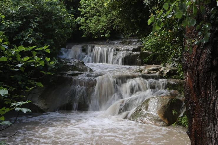 מפל בנחל השופט שבחורף הופך לדרמטי במיוחד (צילום: אלכס קולומויסקי, קק"ל) נחל השופט