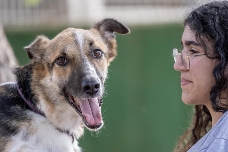 מסי (צילום: רבקה מזרחי) מסי
