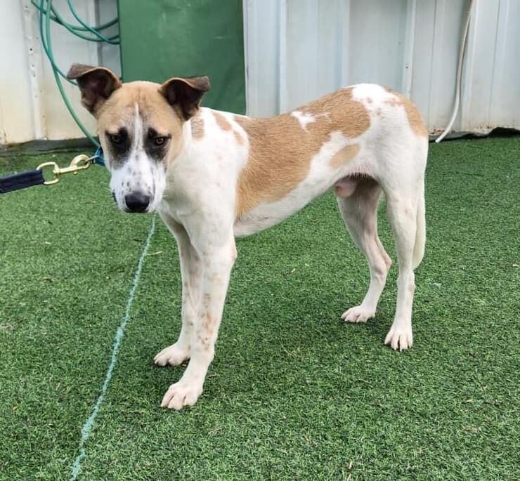 ישראל (צילום: עמותת להתחיל מחדש) ישראל