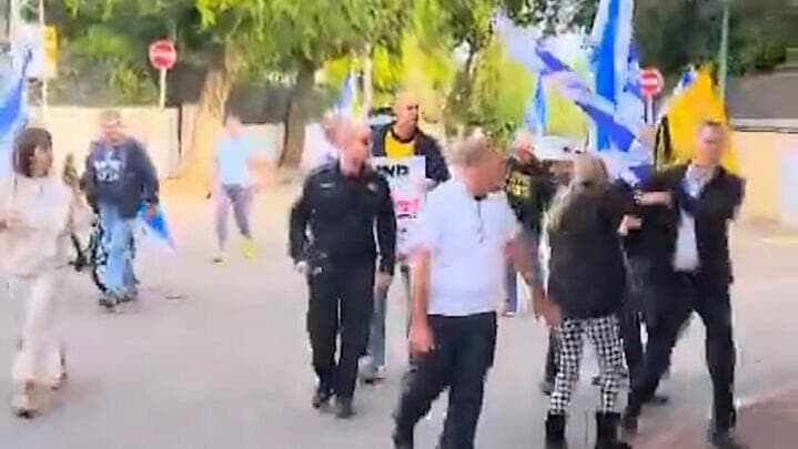 יולי אדלשטיין דוחף מפגינה