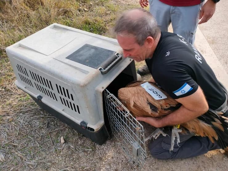 בדרך חזרה לגולן