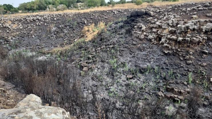 נחל קצרין לאחר שנפגע מירי חיזבאללה (צילום: ליאת גל ספיר) נחל קצרין לאחר שנפגע מירי חיזבאללה