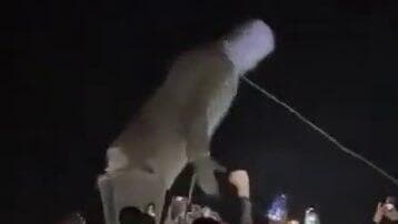 חומס - הפלת פסלו של חאפז אל-אסד