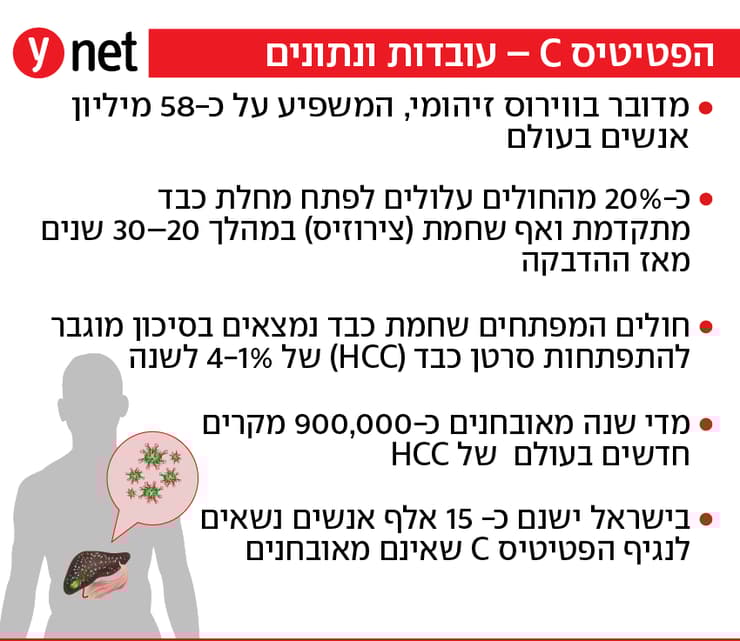 אינפו הפטיטיס סי